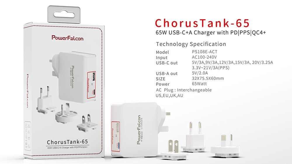 PowerFalcon Dual USB International Travel Charger